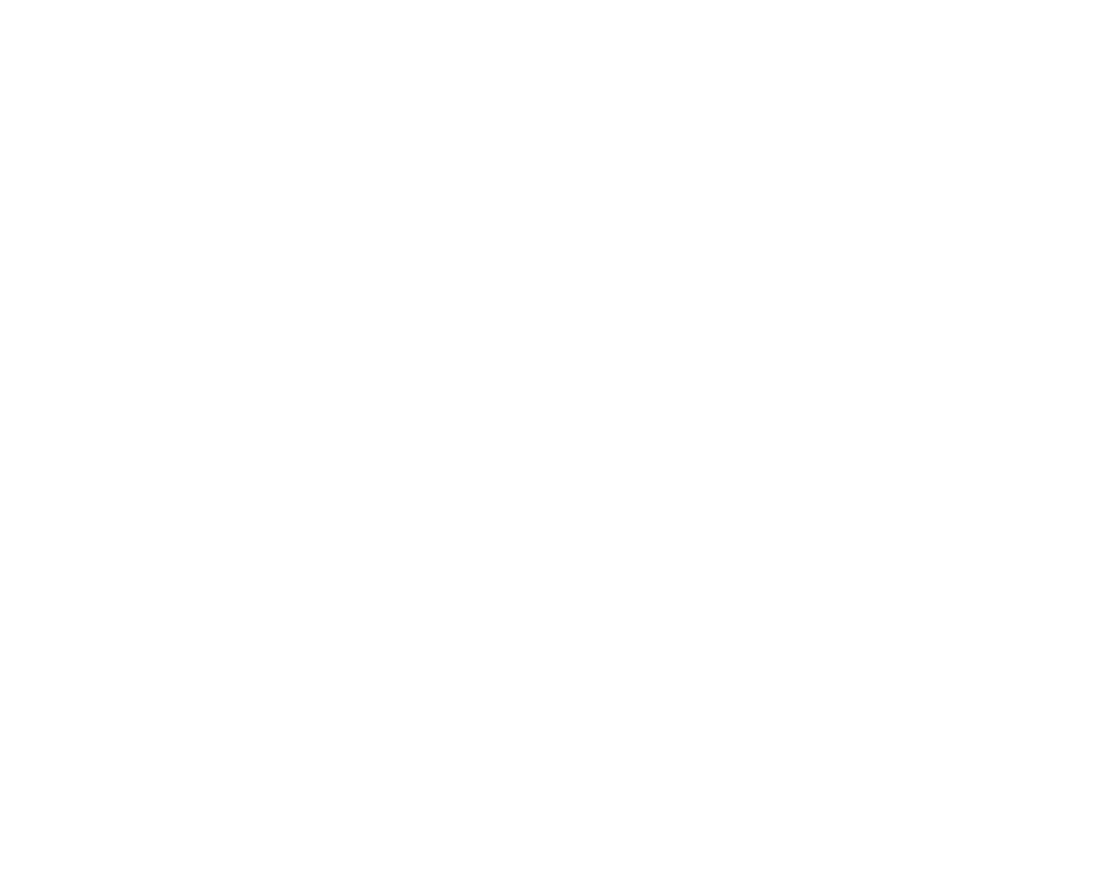 Premiere Spine logo